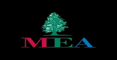MEA (Middle East Airlines)