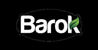 Barok